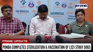 Ponda Completes Sterilization & Vaccination of 1,121 Stray Dogs