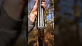 German Merkel Sxs 12 gauge shotgun
