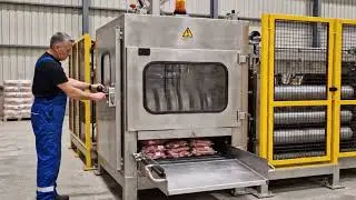 This Machine Works Like an Animal&rsquo;s Magic 🐾⚙️