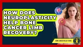 How Does Neuroplasticity Help Bone Cancer Limb Recovery? - Bone Cancer Relief Guide