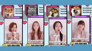 NiziU Tiktok Update (Mako,Rio,Maya,Riku)#facechallenge|Adorable hacks