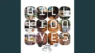 BILLION EYES (feat. 408 Darwin)
