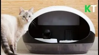 Cat gadgets | Things your cat want | Top 10 Smart Cat Gadgets that your cats will surely love 😻🙀❤️
