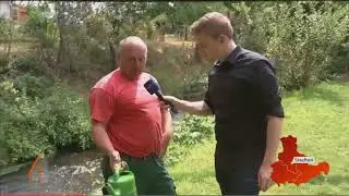 Gartenanlage in Stedten