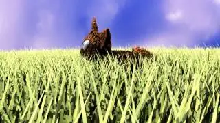 Fur Physics