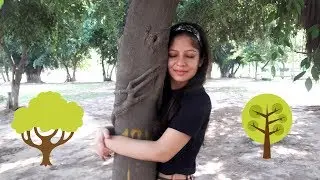 Why You Should Hug A Tree | Connect With Nature | Tree Hugging Benefits