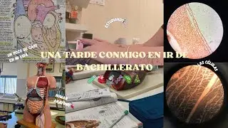 Una tarde conmigo en 1r de Bachillerato | un poco de caos en mi vida, estudiando📚, laboratorio🔬...