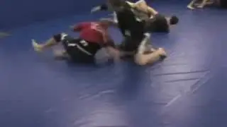 Paragon Academy of Jiu Jitsu and Kickboxing