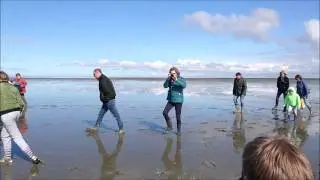 Waddenexcursie 'wadpieren en andere dieren' #oanedyk37