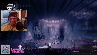 Hollow Knight - Watcher Knights (SFX)