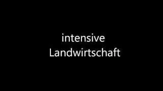 Intensive Landwirtschaft