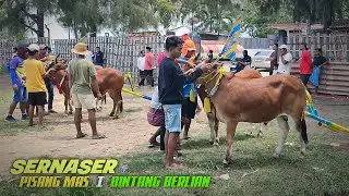 Tiga team kelas berat uji kecepatan di lapangan Priok Ketapang