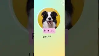 Petblog