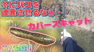 【バス釣り】冬にブラックバスを釣りたいならコレ！エサを使ったかのように釣れる！売れるわけだ・・・