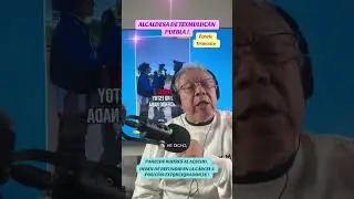 PARECEN BUITRES AL ACECHO.  🇲🇽