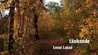 T&auml;nkande