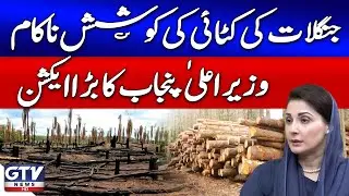 CM Punjab Maryam Nawaz Takes Big Action | Deforestation Attempt Fails | Breaking News