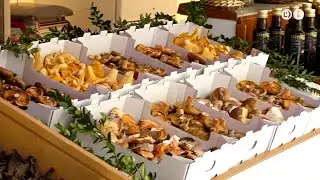 El Mercat del Bolet de Cal Rosal obrir&agrave; el 9 de setembre