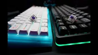 NK65 VS Drop Alt Sound Test (62g Zealio Tactile Switches)