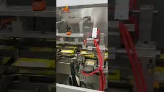 Automatic Carton Forming Machine | Auto Cartoning Machine for  Bottle, Carton Box Packing Machine