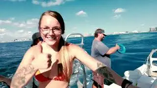 Hunting Sharks To Save the Ocean!