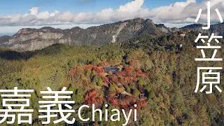 4K嘉義｜楓葉季 小笠原山觀景台 阿里山楓葉 空拍 阿里山 森林火車 嘉義 阿里山國家森林遊樂區 蒸汽火車 Chiayi aerial photography footage 嘉義空拍素材