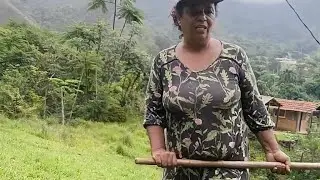 Fui capinar um pouquinho #vidanaroça #sabiadocampo #simplicidade #simplicidade #capina 