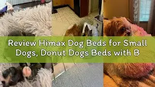 Review Himax Dog Beds for Small Dogs, Donut Dogs Beds with Blanket Attached, Calming Dog Bed Washabl
