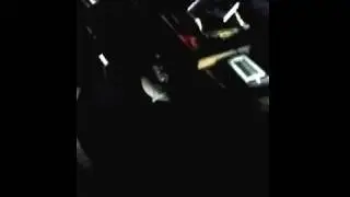 Damien Howling
