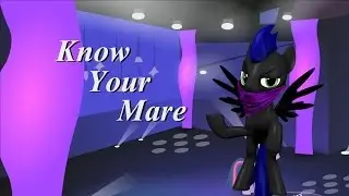 Night Rainbow Reacts: Know Your Mare