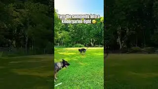 Let's see who's up to become a kindergarten again. Everyone, let's argue like kindergartens