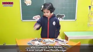 Sorting Activity of Farm Animals & Wild Animals by Nursery - Caterpillars at @kidzeemuzaffarnagar