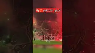 تيفو أنصار المولودية اليوم حب وعقلية ❤️&zwj;🔥🔥