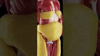 What happens to your body if you eat bananas everyday!!