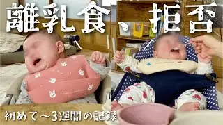 思ってたのと違う･･･離乳食を拒むふたご、生後5ヶ月初めて〜克服までの記録。