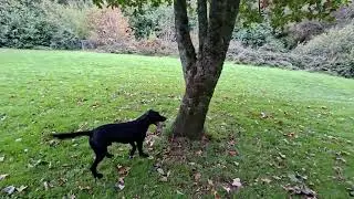 Sonny Has A Go