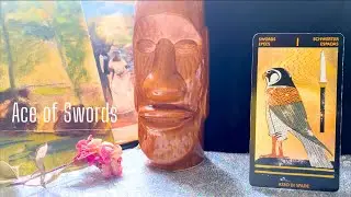 Ace of Swords | In a Love Reading