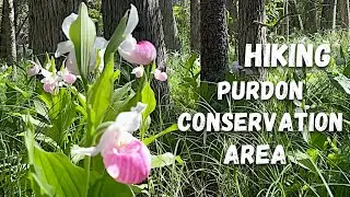 Blooming Orchids | Lanark County Wonders & Carleton Place Highlights