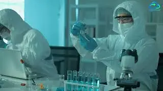 Intensify Sustainable Healthcare Journey with Click2Cloud