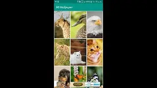 Android HD Wallpaper App