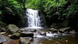 Relaxing Waterfall Sounds 🌊 12 Hours for Deep Sleep, Meditation & Stress Relief