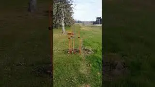 Finally, a Sapling Support That&rsquo;s Functional and Attractive | ezstepproducts.com