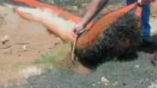 Filtrexx DitchChexx
