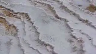 Mammoth Hot Springs