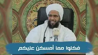 تفسير : فكلوا مما أمسكن عليكم .. د. عبدالحي يوسف