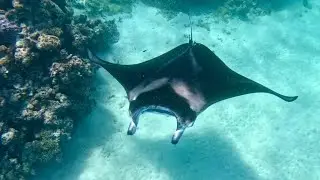 MAUPITI,FRENCH POLYNESIA