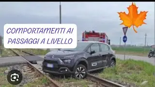 التعريف رقم 1  من الدرس رقم 11 Pericoli nella circolazione. Velocità: regolazione e limiti