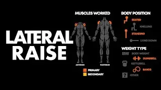 Lateral Raise | Proper Form, Muscle Engagement & Injury Prevention