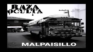 RAZA OCULTA - Malpaisillo