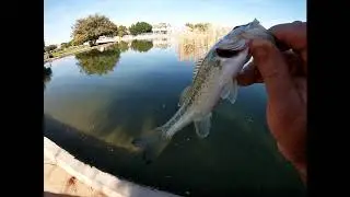 Bass Fishing In December